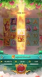 cengli88 · Lgd Monkey Kg